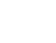 light logo